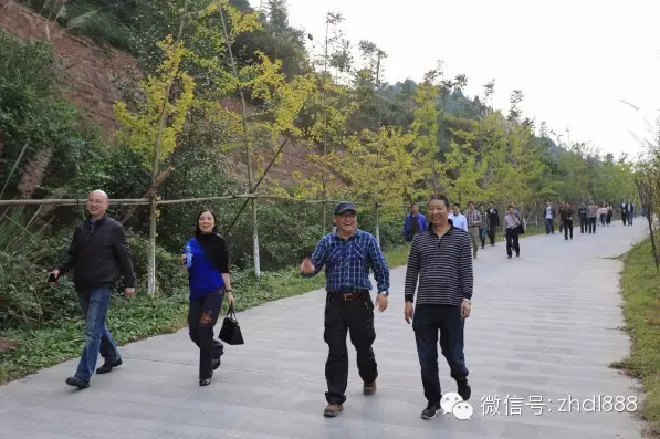 bevictor伟德“爱在金秋、拥抱自然”升钟湖活动